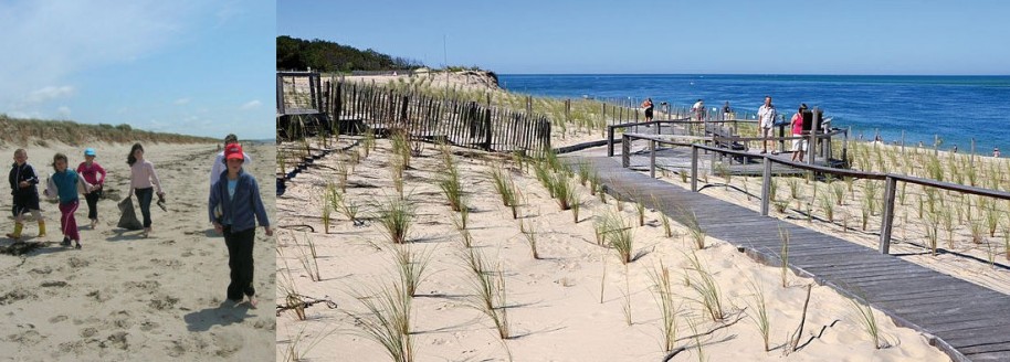 Milieu dunaire et laisse de mer - Classe de mer scolaires - Vendée