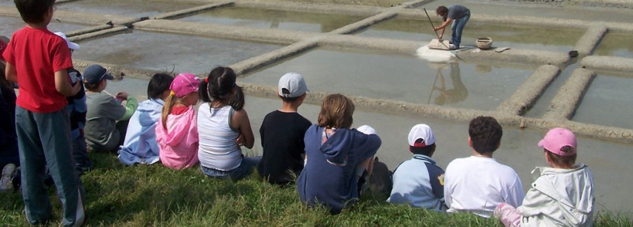 Marais salant - Saint-Hilaire-de-Riez - Sorties scolaires et classes de mer en Vendée - © JCB