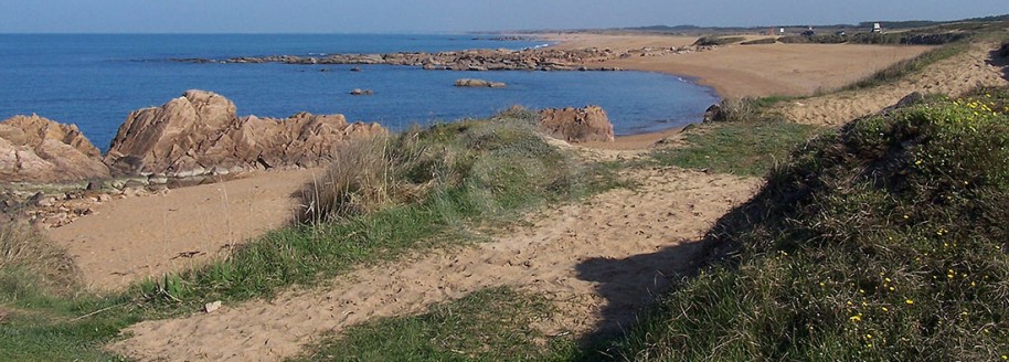 Le Paracou - Les Sables d'Olonne - Vendée