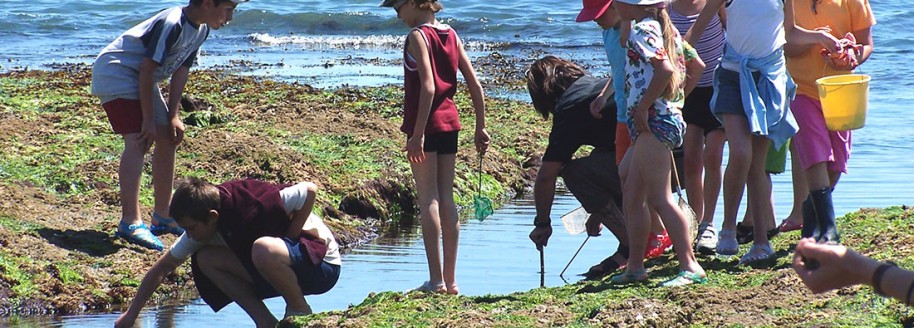 Pêche à pied - Saint-Gilles-Croix-de-Vie - Sortie scolaire et classe de mer en Vendée - © JCB