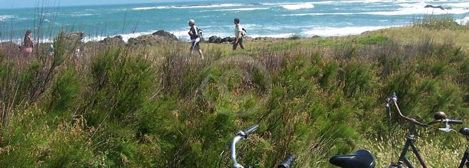 Randonnée vélo - Pointe du But - Île d'Yeu - Vendée