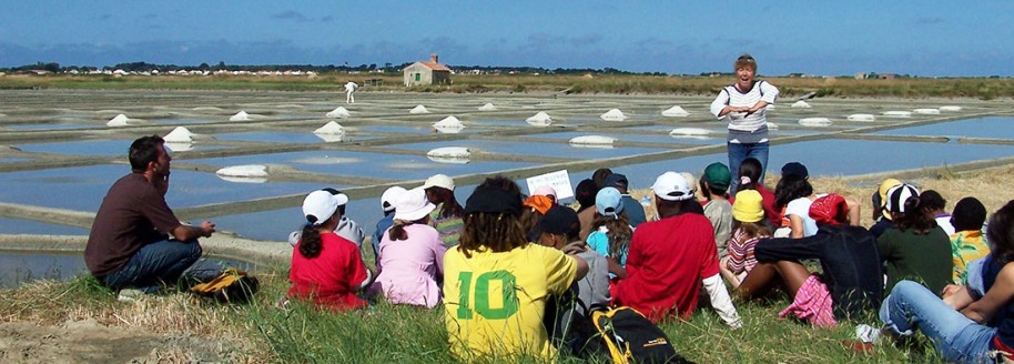 Marais salant - Île de Noirmoutier - Sorties scolaires et classes de mer en Vendée - © JCB