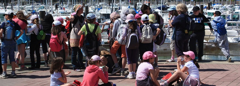 Port de plaisance - Saint-Gilles-Croix-de-Vie - Sorties scolaires et classes de mer en Vendée - © JCB