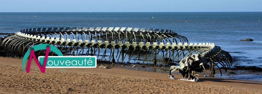 Le serpent d'océan de Huang Yong - Saint-Brévin-les-Pins - Loire atlantique - © JCB